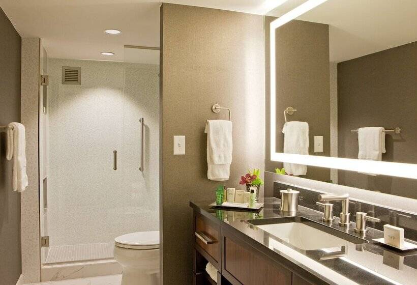 Suite, Hilton Nashville Downtown