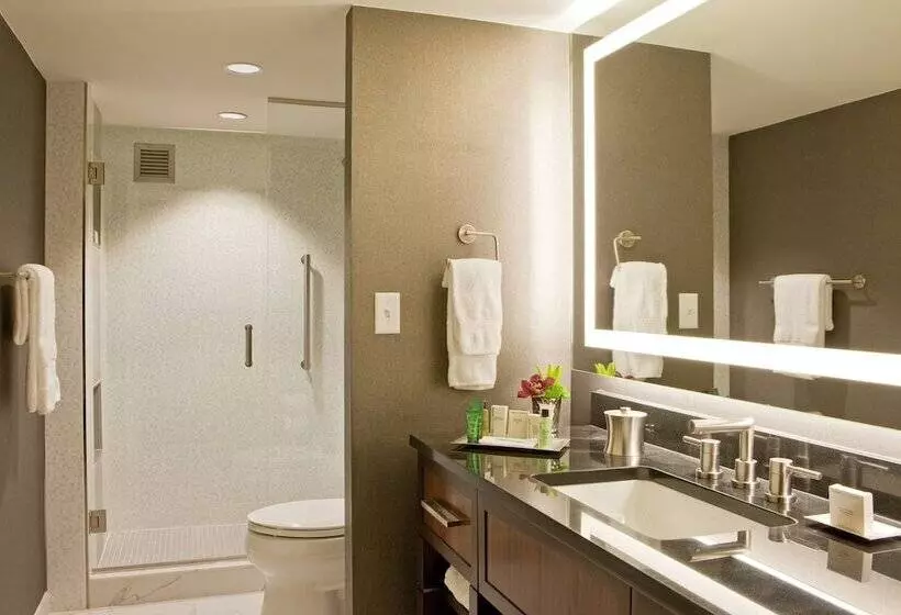 سوییت, Hilton Nashville Downtown