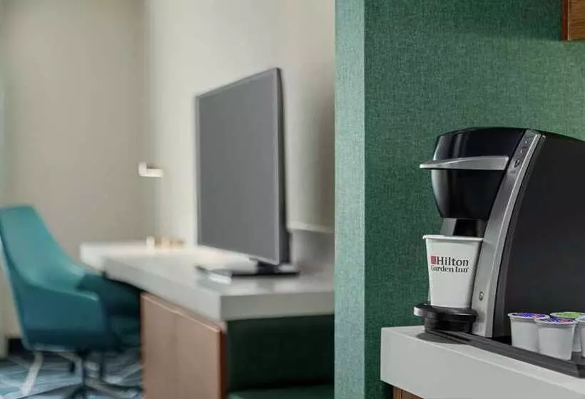 سوییت, Hilton Nashville Downtown