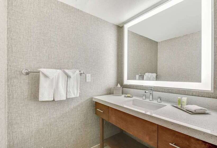 سوئیت با تخت بزرگ, Hilton Nashville Downtown