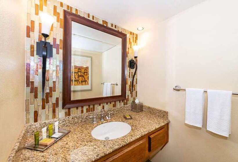 سوئیت با تخت بزرگ, Hilton Nashville Downtown