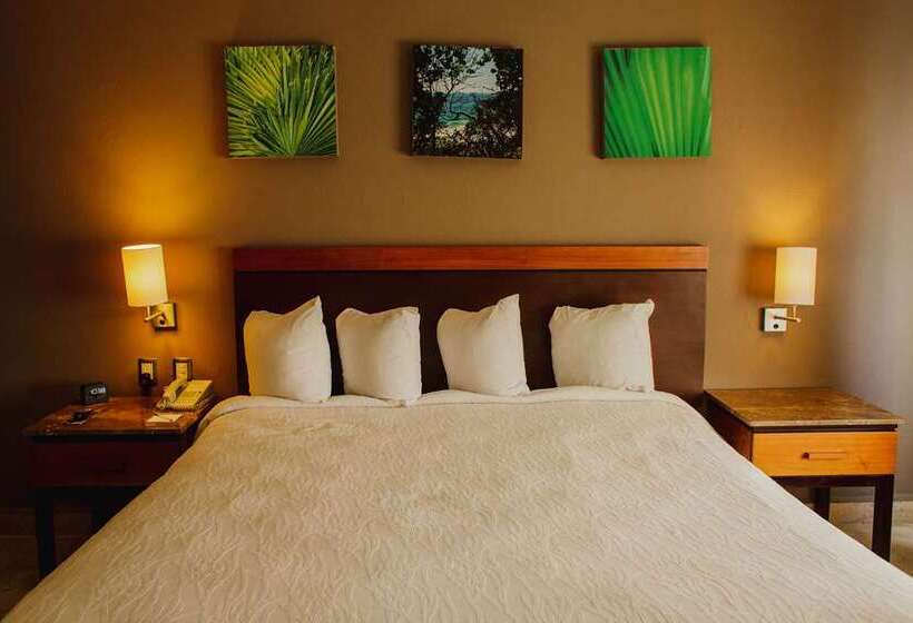 Deluxe Suite King Bed, Hilton Nashville Downtown
