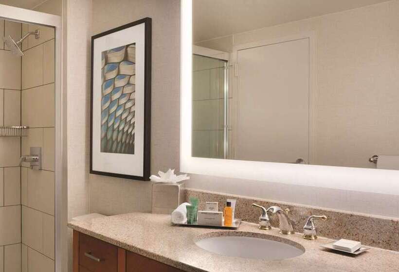 Suite Łóżko King Size, Hilton Nashville Downtown