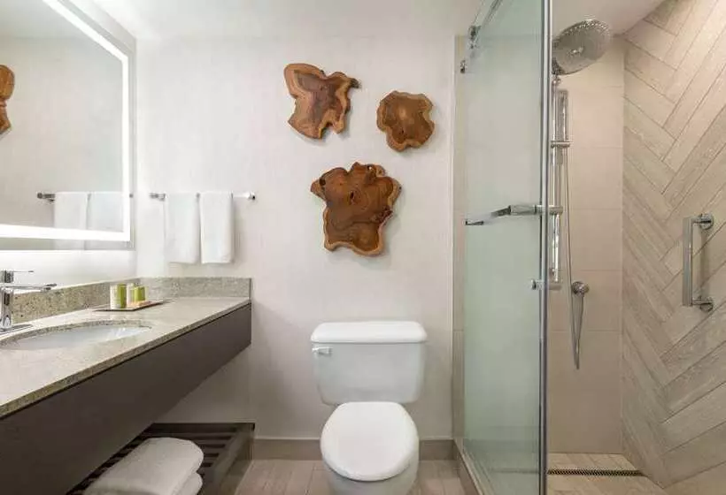 سوئیت با تخت بزرگ, Hilton Nashville Downtown