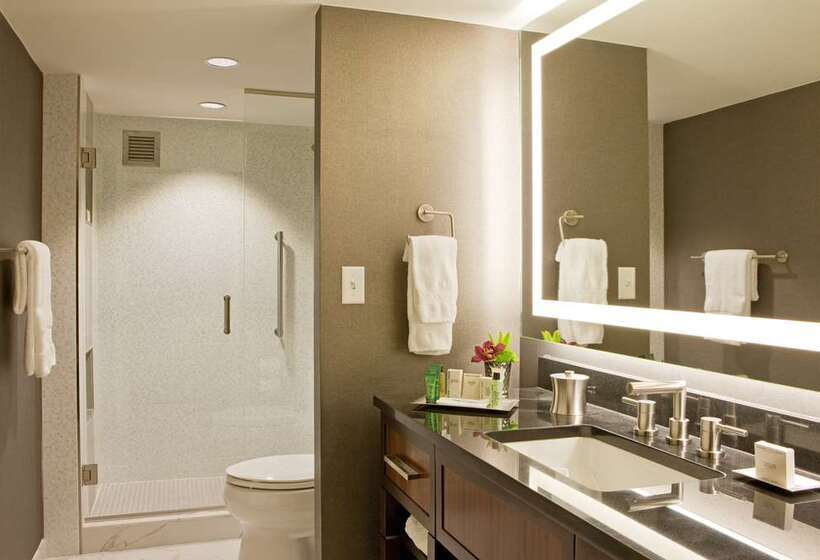 سوئیت با تخت بزرگ, Hilton Nashville Downtown