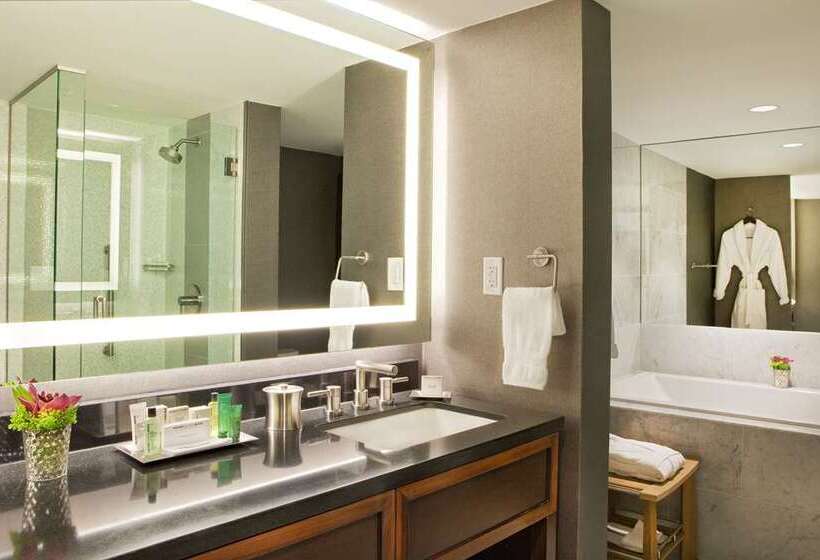 سوئیت با تخت بزرگ, Hilton Nashville Downtown