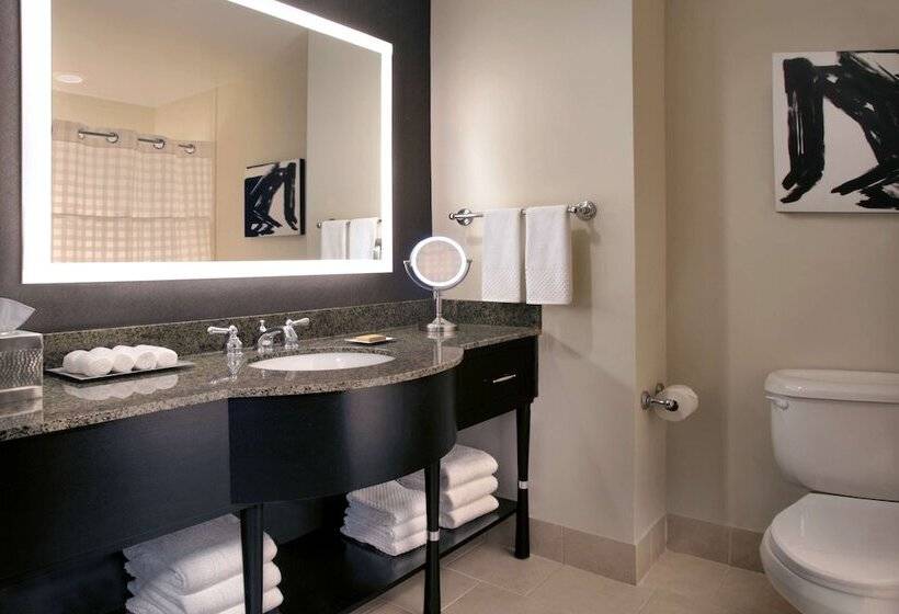 豪华房间, Hilton Omaha