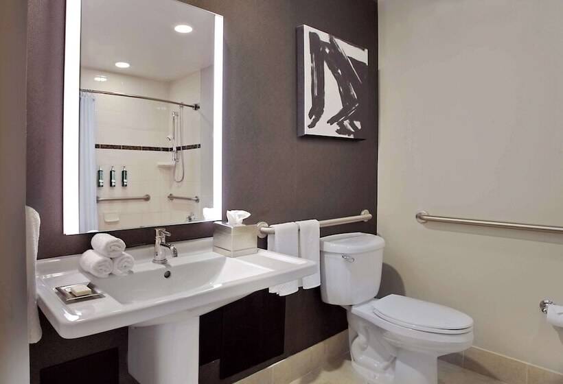장애인용 디럭스룸, Hilton Omaha