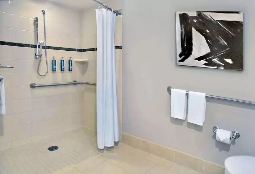 اتاق لوکس, Hilton Omaha