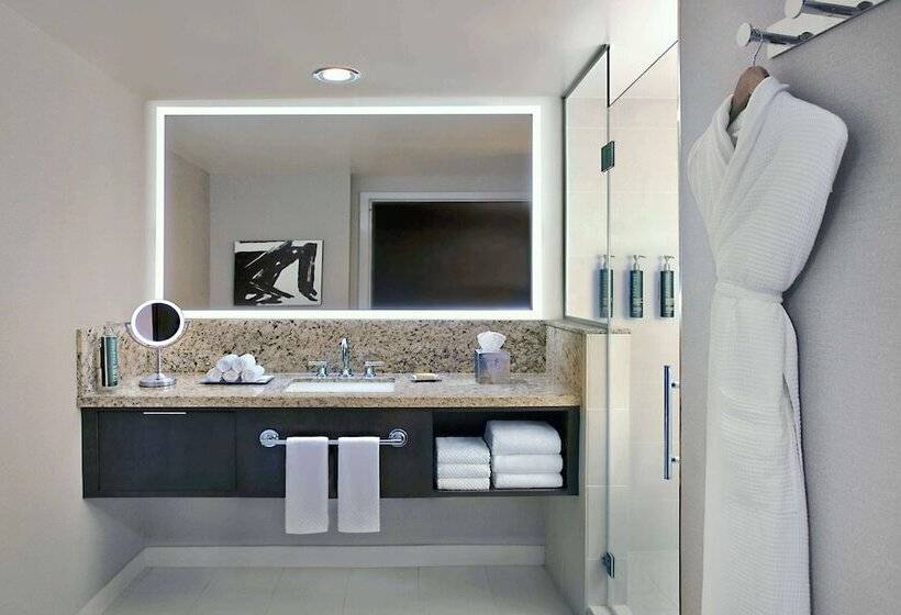 适用于残疾人士的豪华房间, Hilton Omaha