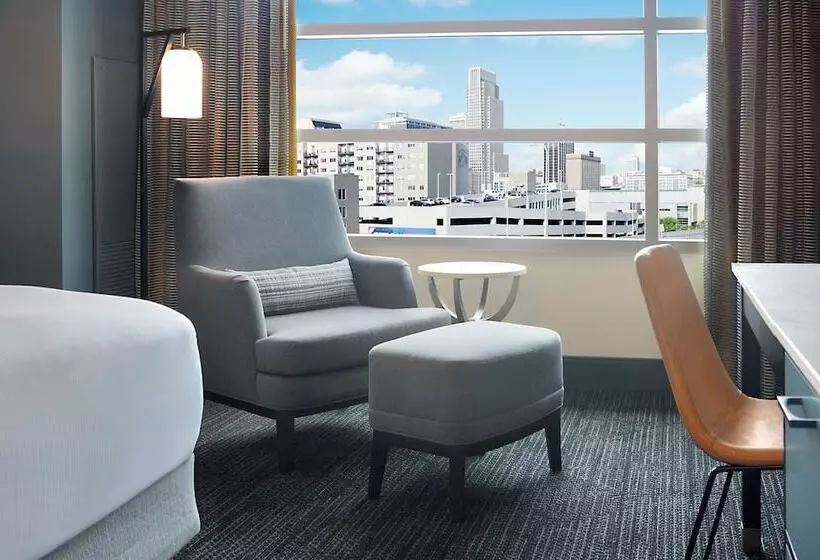 اتاق دلوکس مخصوص معلولین, Hilton Omaha