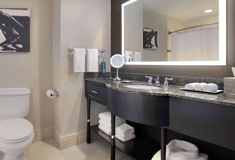 Люкс, Hilton Omaha