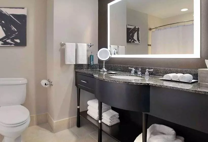 سوییت, Hilton Omaha
