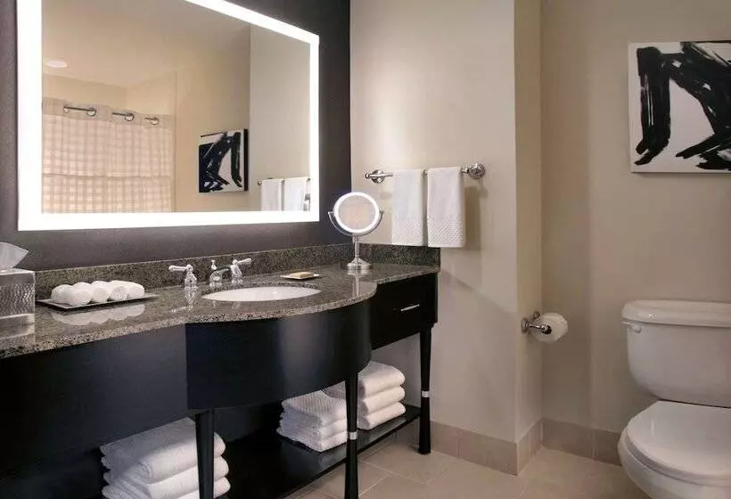 اتاق استاندارد با 2 تخت دوبل, Hilton Omaha