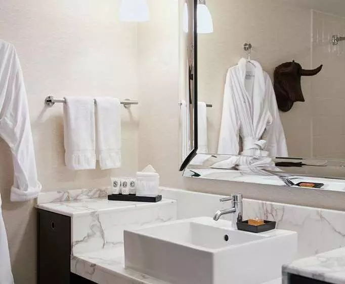 اتاق لوکس, Hilton Omaha