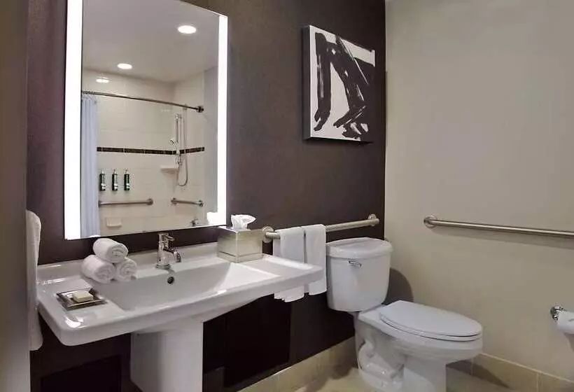 اتاق لوکس, Hilton Omaha