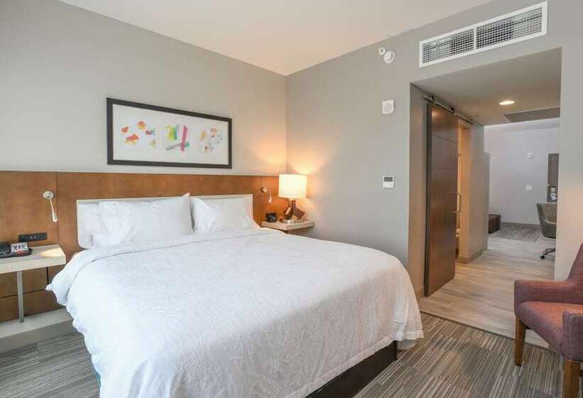 스탠다드 룸 킹사이즈 침대, Hilton Omaha