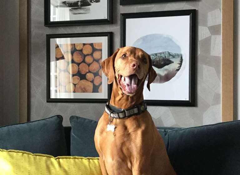 高级客房, Hilton Omaha