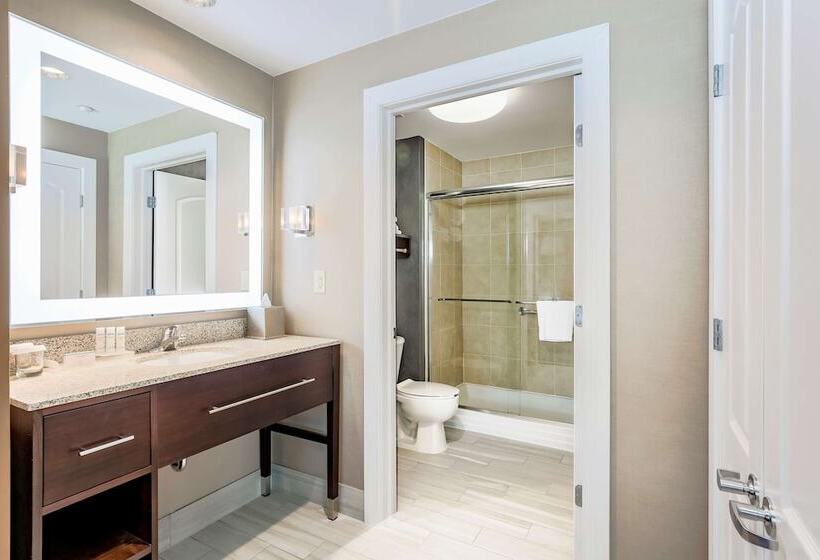 جناح غرفتين نوم, Homewood Suites Melville