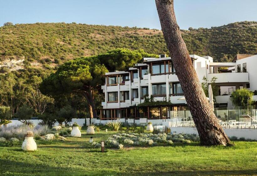 اتاق استاندارد با چشمانداز کوهستان, Hôtel La Roya