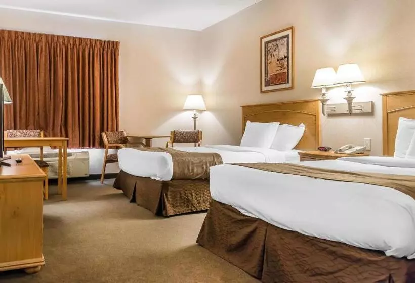 スタンダードルーム, Rodeway Inn & Suites