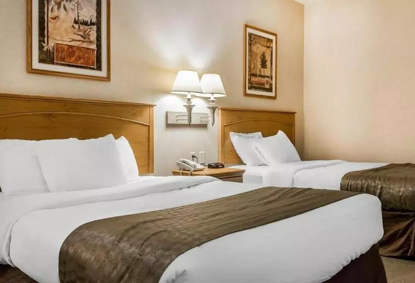 スタンダードルーム, Rodeway Inn & Suites