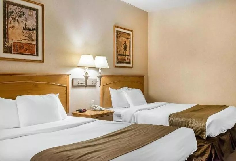 スタンダードルーム, Rodeway Inn & Suites