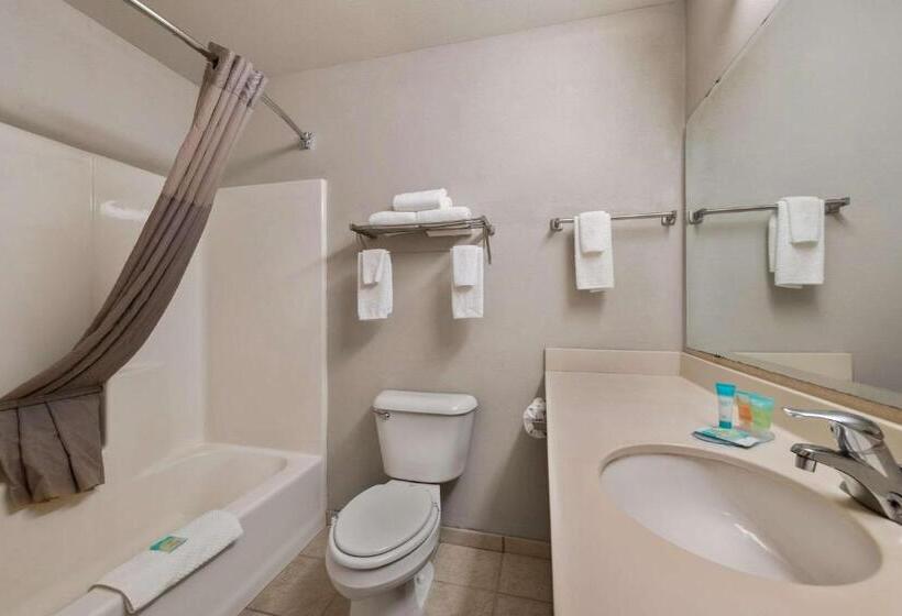 Номер Стандарт, Rodeway Inn & Suites