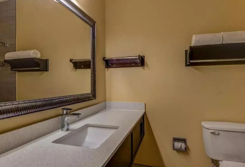 Standard-huone, Surestay Plus Hotel By Best Western Alvin