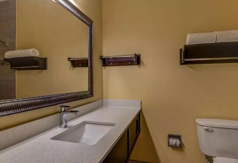 Standard-huone, Surestay Plus Hotel By Best Western Alvin
