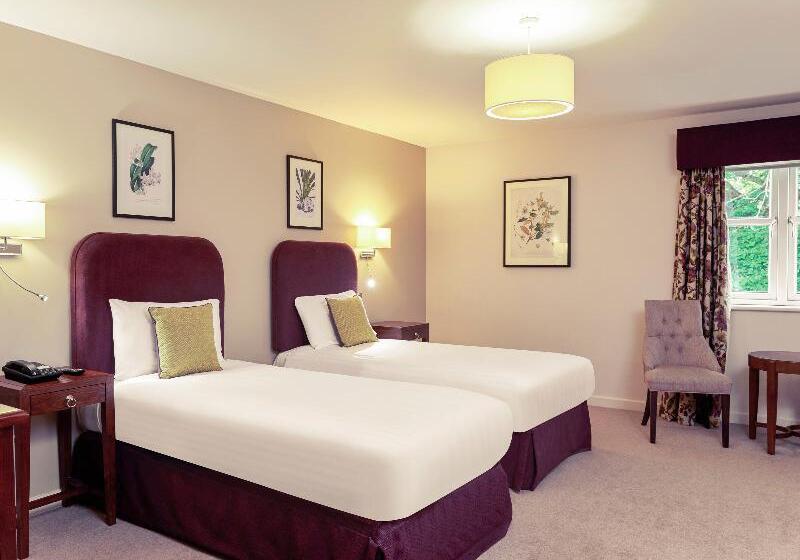 اتاق سوپریور, A Palazzo Busdraghi Residenza D'epoca