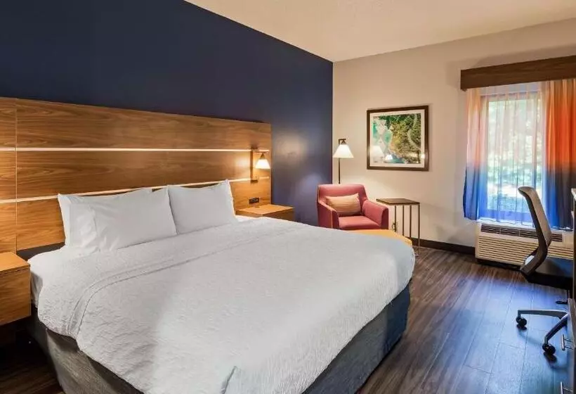 身障者適用キングサイズベッドルーム, Best Western Plus Lexington Inn