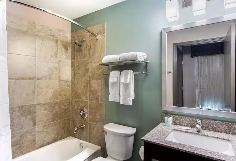 Sviitti, Clarion Inn & Suites Atlanta Downtown