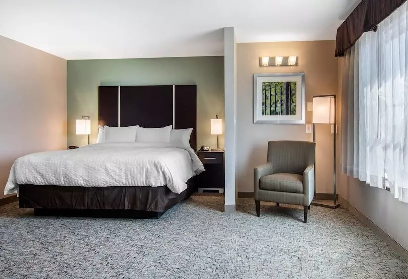 Sviitti, Clarion Inn & Suites Atlanta Downtown