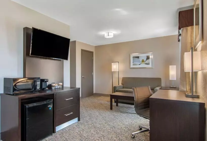 Sviitti, Clarion Inn & Suites Atlanta Downtown