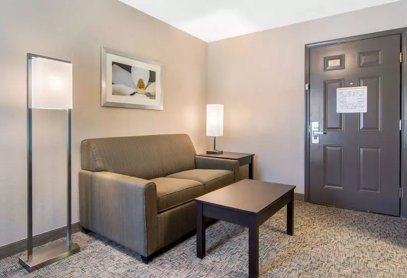 Sviitti, Clarion Inn & Suites Atlanta Downtown