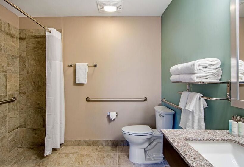 סוויטה, Clarion Inn & Suites Atlanta Downtown