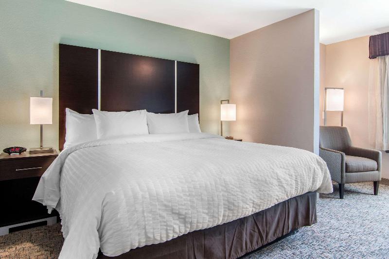 غرفة قياسية سرير كينج, Clarion Inn & Suites Atlanta Downtown