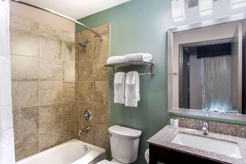 غرفة قياسية سرير كينج, Clarion Inn & Suites Atlanta Downtown