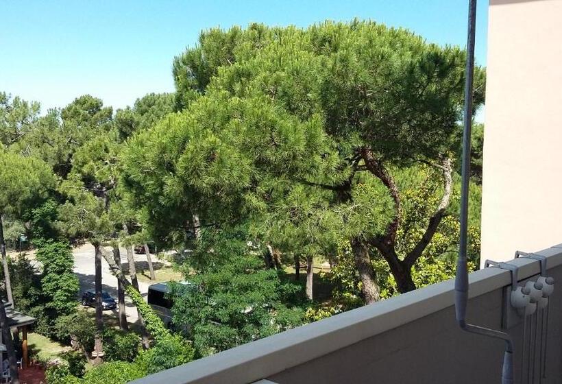 스탠다드 발코니 룸, Condor