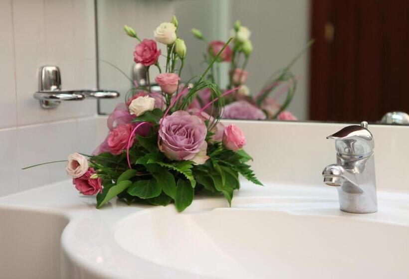 غرفة قياسية, Euro