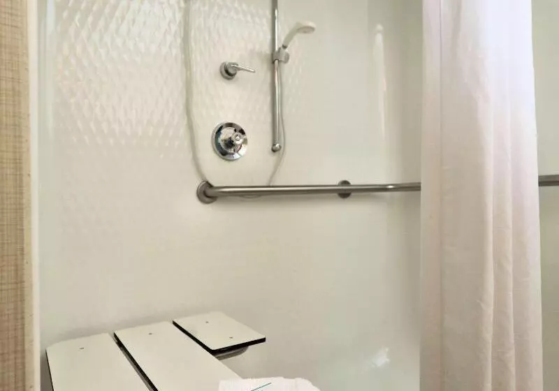 キングサイズベッドのスタンダードルーム, Hampton Inn Batavia