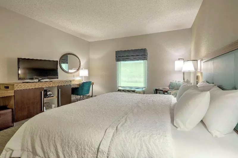 キングサイズベッドのスタンダードルーム, Hampton Inn Batavia