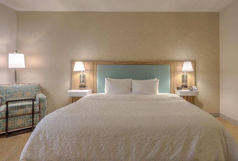 غرفة قياسية سرير كينج, Hampton Inn Batavia