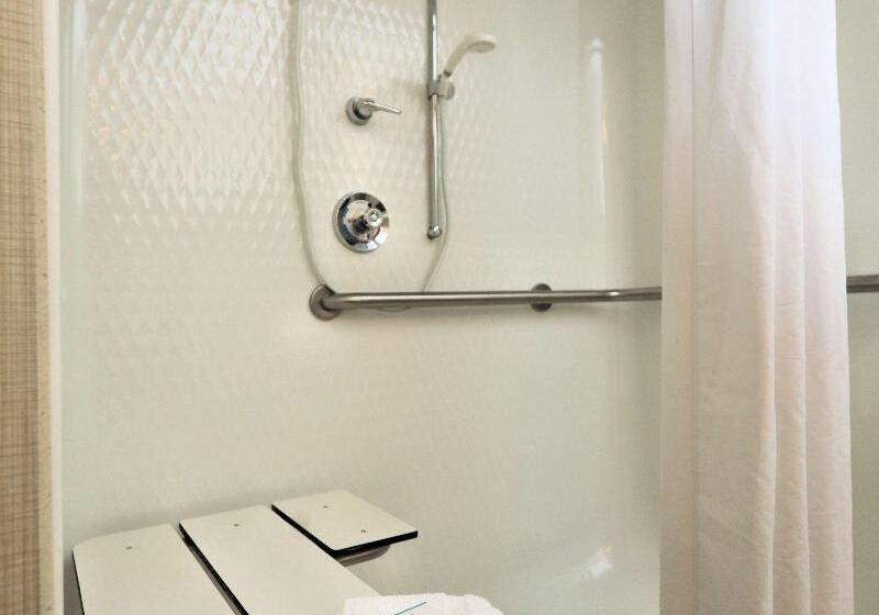 غرفة قياسية سرير كينج, Hampton Inn Batavia