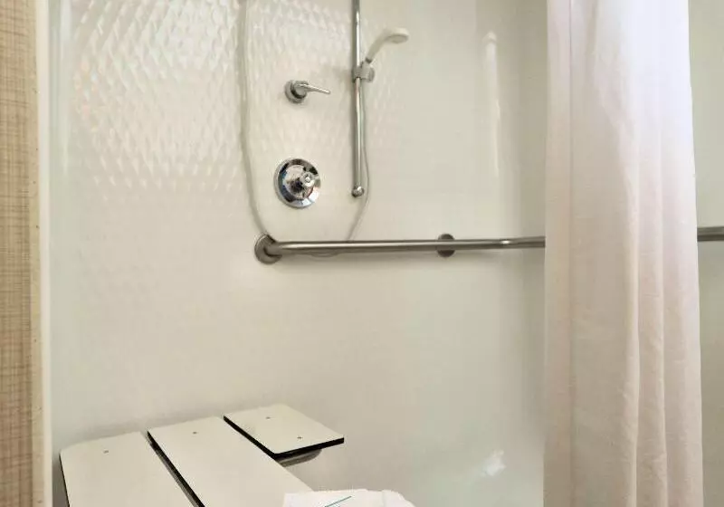 キングサイズベッドのスタンダードルーム, Hampton Inn Batavia