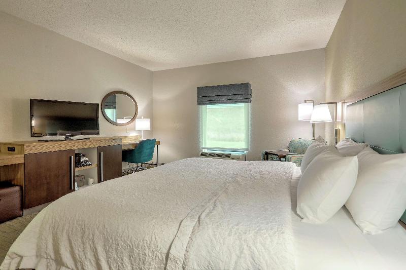 Стандартный Номер Кровать Кинг, Hampton Inn Batavia