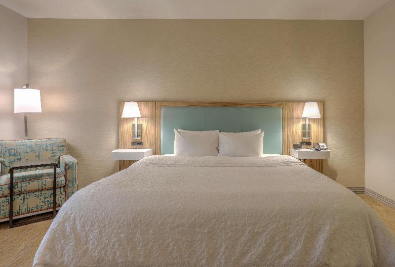 غرفة قياسية سرير كينج, Hampton Inn Batavia