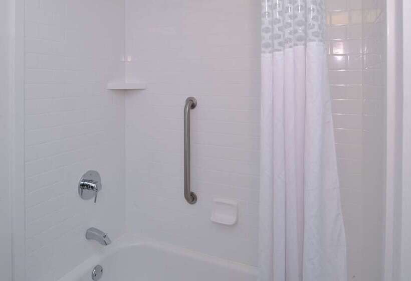 חדר סטנדרט, Hampton Inn Carbondale