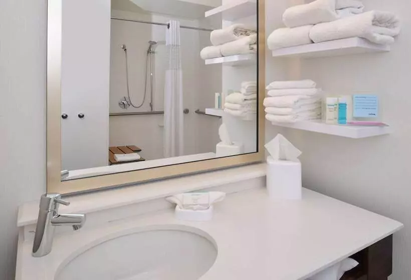 Standard-huone, Hampton Inn Carbondale